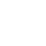 Github icon
